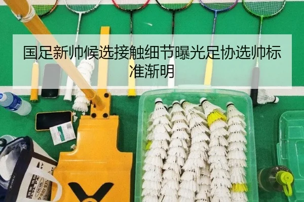 国足新帅候选接触细节曝光足协选帅标准渐明